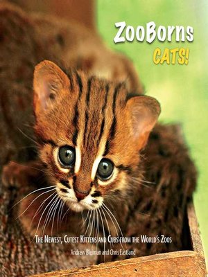 cover image of ZooBorns Cats!: the Newest, Cutest Kittens and Cubs from the World's Zoos